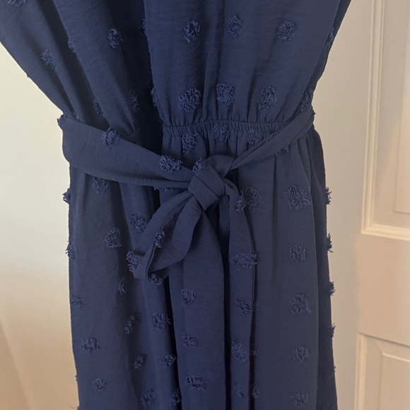 Daniel Rain Navy Swiss Dot Dress - Picture 7 of 9